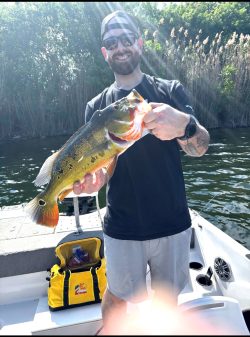 monster-peacock-bass-fishing-location