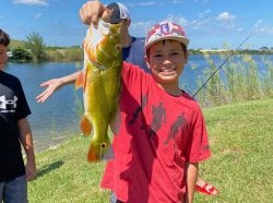 peacock-bass-fishing-guide