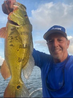 peacock-bass-fishing