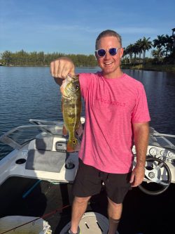 peacock-bass-lake-fishing-guides