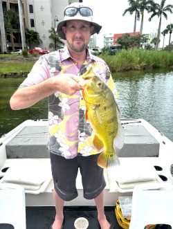private-guide-peacock-bass-fishing